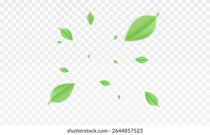 Green  air swirl effect with bright flow with flying mint leaves PNG. Green swirl on transparent background. Vector