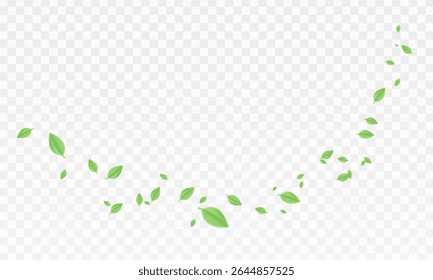 Green  air swirl effect with bright flow with flying mint leaves PNG. Green swirl on transparent background. Vector