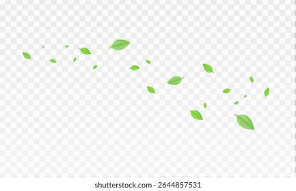 Green  air swirl effect with bright flow with flying mint leaves PNG. Green swirl on transparent background. Vector