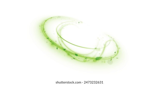 Green Air Swirl-Effekt mit fliegenden Minzblättern isoliert auf weißem Hintergrund PNG, Vektorgrafik realistische Abbildung für Werbedesign.	
