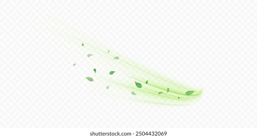 Green air swirl effect with flying mint leaves isolated on white background PNG, vector realistic illustration for advertising design.