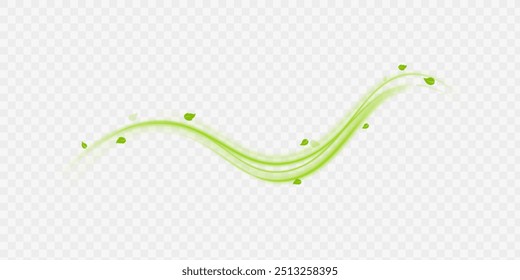 Green air swirl effect with flying mint leaves isolated on white background PNG, vector realistic illustration for advertising design.