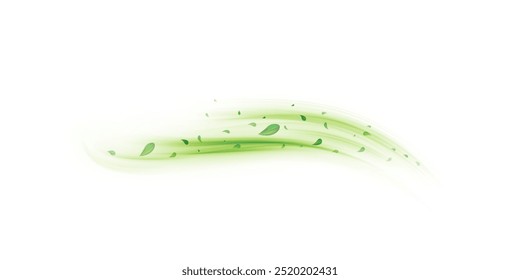 Green air swirl effect with flying mint, tea leaves isolated on white background, vector realistic illustration for advertising design of pharma and food industry.	