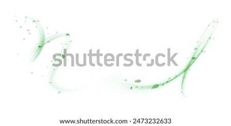 Green air swirl effect with flying mint leaves isolated on white background PNG, vector realistic illustration for advertising design.	
