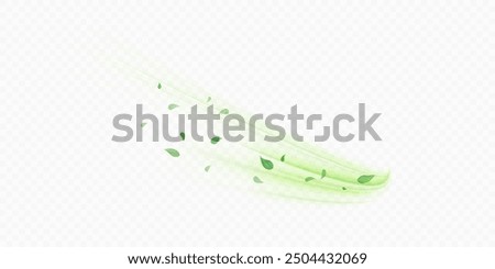 Green air swirl effect with flying mint leaves isolated on white background PNG, vector realistic illustration for advertising design.