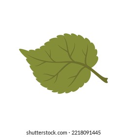 Green-Alder-Blatt-Cartoon-Symbol. Blätter von Vektorbirken, Apfel- oder Blattpflanzen, Sommer- oder Frühlingsblatt. Rowan, Elm-Lauffläche, Hornstrahlsymbol
