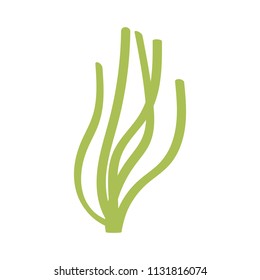 green algae bush isolated. vector .