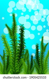 
Green algae design on a blue abstract background. Vector illustration