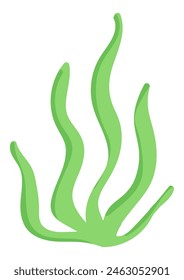 Algas verdes en diseño plano. Hierba de hojas subacuáticas, alga de acuario y algas. Ilustración vectorial aislada.