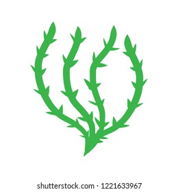 Green algae isolated illustration on white background