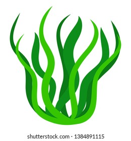 Green algae isolated illustration on white background