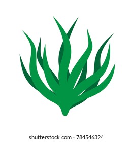 Green algae isolated illustration on white background