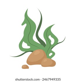 Green algae on underwater rocks, cute tropical undersea seaweed vector illustration