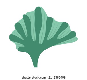 Green algae on a white background, algae logo, icon for seascapes and food from marine plants