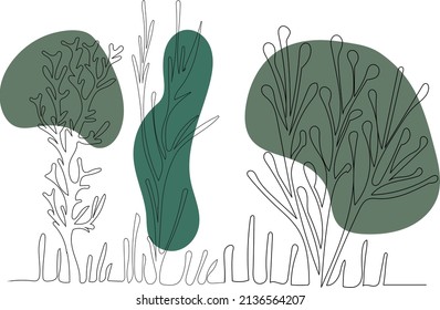 Green Algae One Line Drawing Vector, Isolated