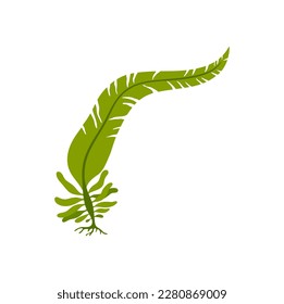 Green algae sea leaf, cartoon isolated plant. Vector seabed flora, underwater green algae aquarium sea plant. Soft coral cartoon ocean seaweed