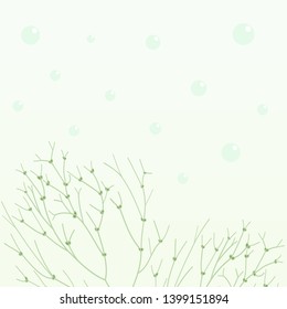 Green algae and water bubbles pattern