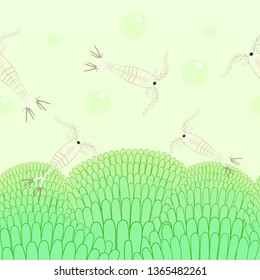 Green algae and water life