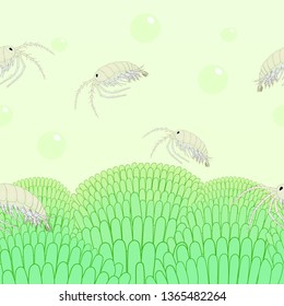 Green algae and water life