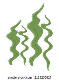 green algaes sealife nature icon