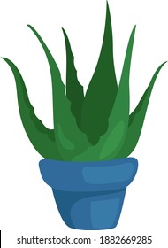 Green aloe in a blue pot,illustration,vector on white background