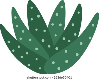 Green aloe vera plant growing upwards with white spots, simple vector illustration isolated on white background, ideal for educational resources, nature projects, or botanical designs