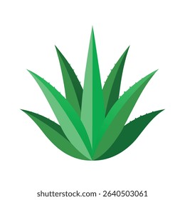 Green aloe vera plant illustration medicinal herb on white background