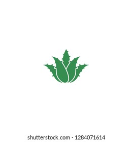 Green Aloe Vera with prickles or spikes icon. Medical, cosmetic, health care label. Eco, floral, natural, organic symbol. Vector flat logo isolated on white.