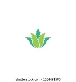 Green Aloe Vera with prickles or spikes icon. Medical, cosmetic, health care label. Eco, floral, natural, organic symbol. Vector flat logo isolated on white.