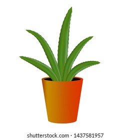 Green aloe vera in trendy style on white background. Nature vector illustration. Botanical decoration