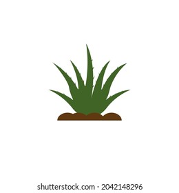 Green Aloe Vera Vektorsymbol-Design.