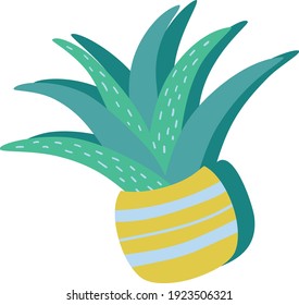 Green aloe in a yellow striped pot. Sticker in a cartoon style.