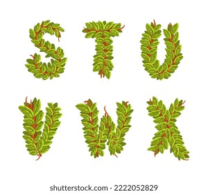 Green Alphabet Letter of Forest Woody Branch and Foliage Vector Set