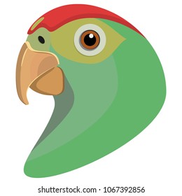 The green Amazon parrot. Logo.