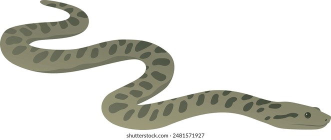 Green anaconda vector illustration. Wild giant snake isolated on white background. Water boa and nonvenomous carnivore reptile. Wildlife of South America.