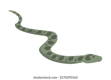 Green anaconda vector illustration. Wild giant snake isolated on white background. Water boa and nonvenomous carnivore reptile. Wildlife of South America.