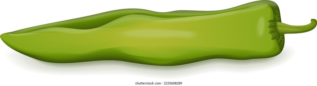 Green anaheim peppers. California pepper. Magdalena pepper. Hatch peppers. New Mexico peppers. Capsicum annuum. Chili pepper. Fresh vegetables. Vector illustration isolated on white background.