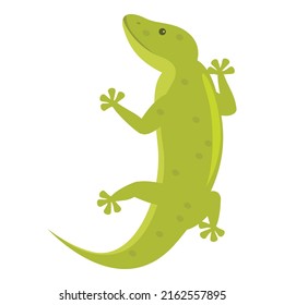 Green animal icon cartoon vector. Gecko lizard. Salamander iguana