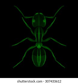 Green ant. 3d hologram x-ray style vector illustration for prints, bag, tatto or t-shirt. Black background. Eps 10.