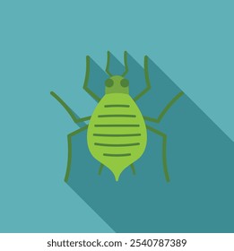 Green aphid insect pest is crawling in a minimalist flat design with a long shadow