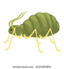 Green aphid insect pest crawling side view isolated on white background