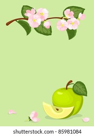 Green apple and blossoming branch. On a green background. Vector illustration.