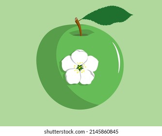 manzana verde con flores en ella. Frutos maduros con hojas y flores blancas aisladas sobre fondo verde.
