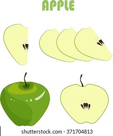 Green apple, brown roots, slices on white background, hand drawing, painting. Healthy eating, fruit, organic, packaging design, product packaging, product label, design elements, clip art, vector 