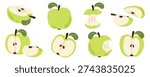 Green Apple Collection with whole fruit, halves, slices, and core