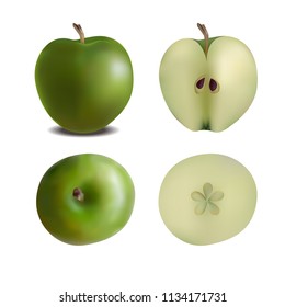 Green apple in different perspectives and section