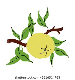 Green apple with foliage and branch. Spring garden tree trendy illustration. Botanic fall season hand drawn design. Simple contemporary style vector illustration for fabric, print, wallpaper.