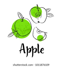 Green Apple fruit handdrawn design template. Botanical fruit illustration. Vector illustration realistic sketch with calligraphic lettering