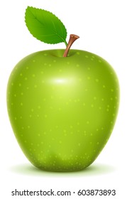 Green apple Granny Smith on white background. Vector illustration