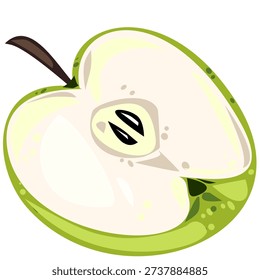 Green apple half isolated on white background. Detailed fruit slice with seeds for food illustration, nutrition concepts and organic product design.